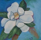 Magnolia